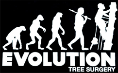 Tree Removal Melbourne'