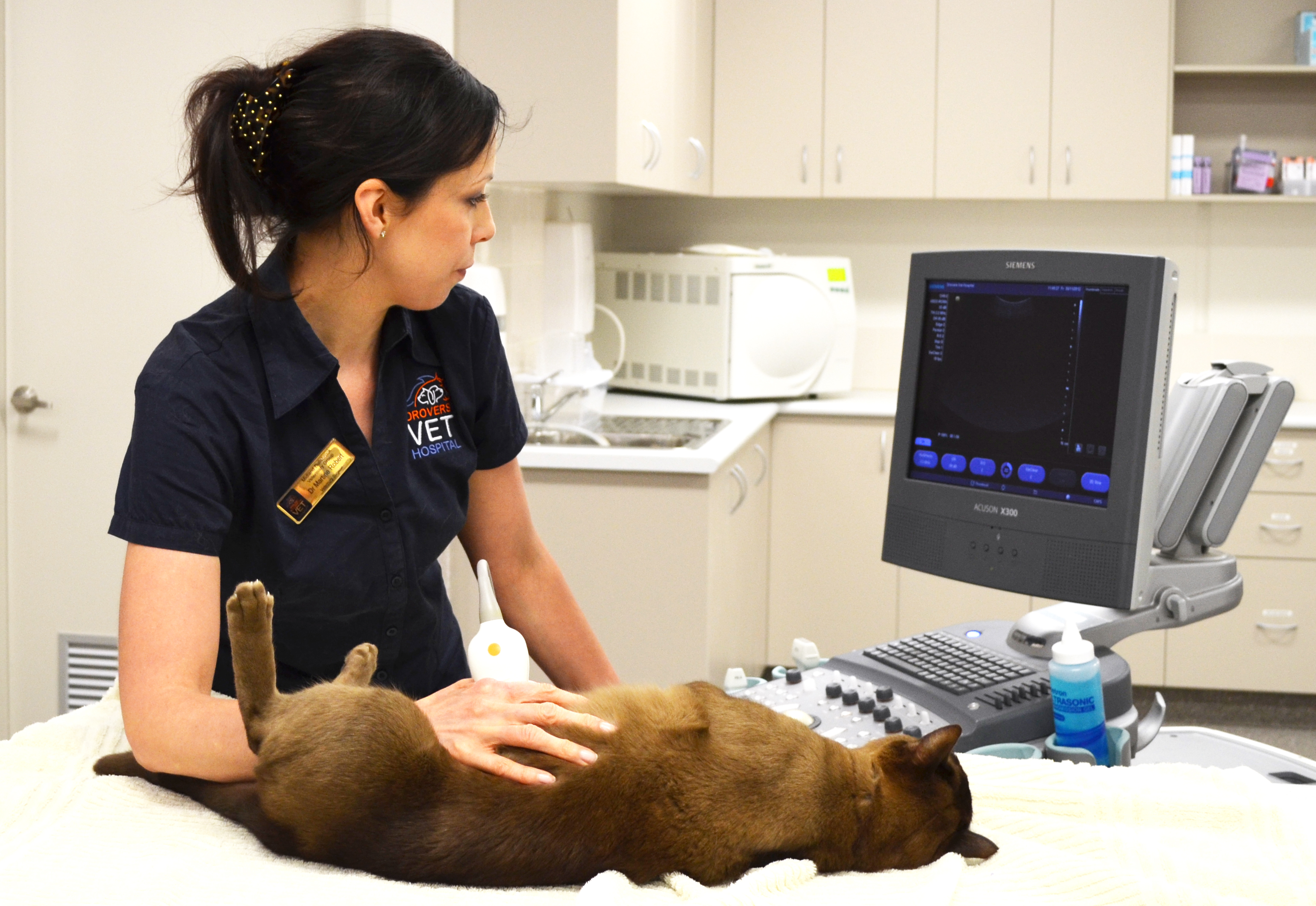 veterinary ultrasound market