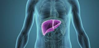 Liver Disease Treatment Market