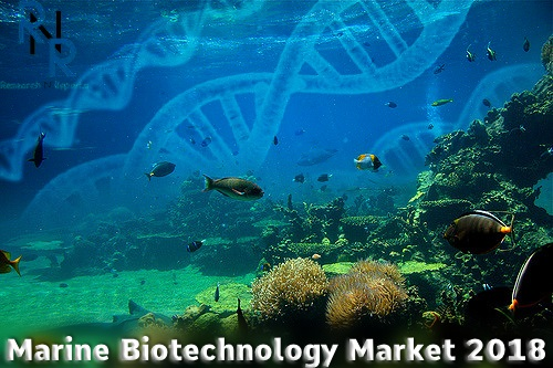 Marine Biotechnology Market 2018 Global Analysis, Opportunit