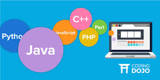 Programming Language Training Market'