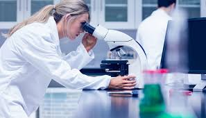 Global Vertebroplasty Needles Industry Market