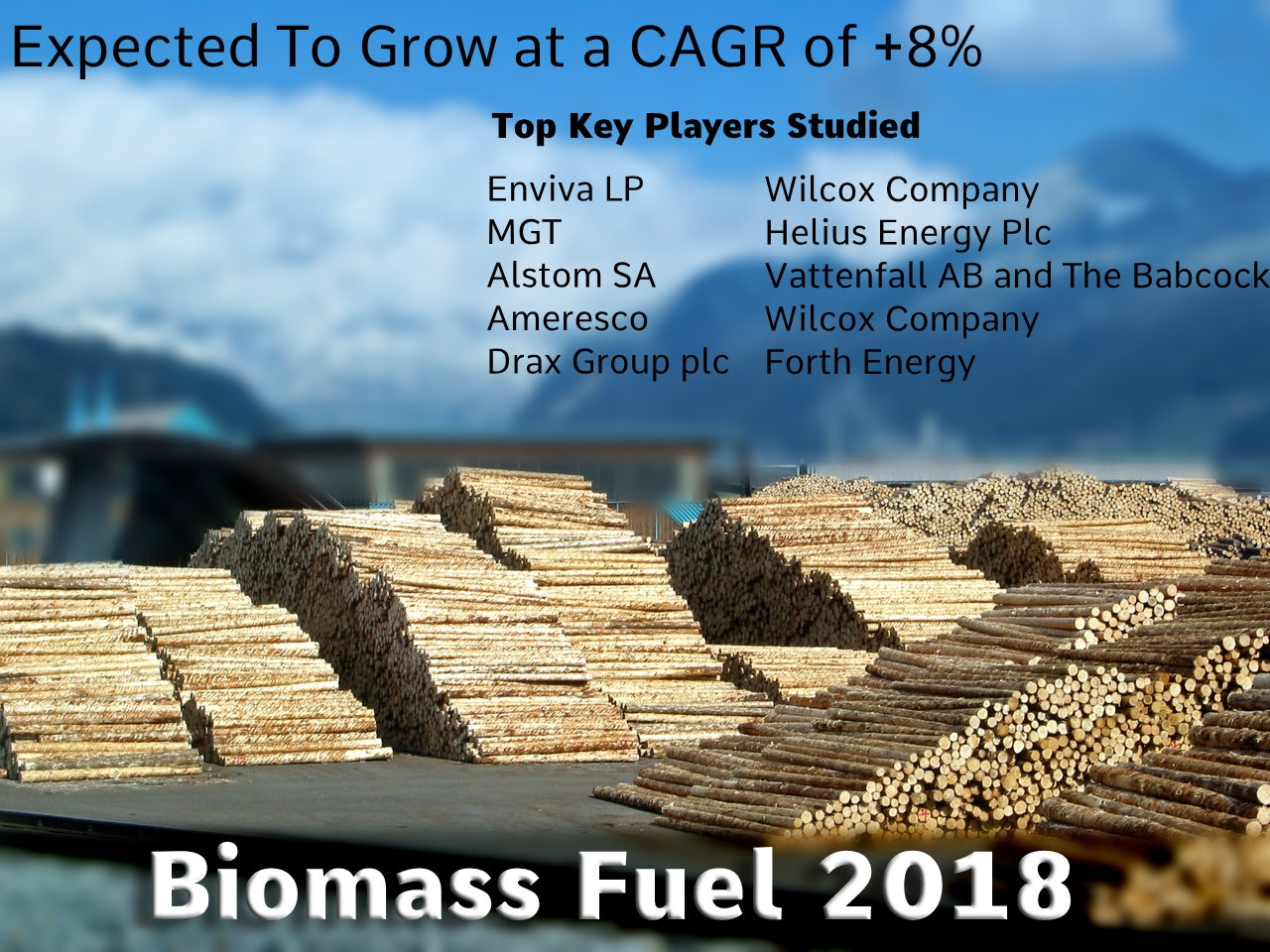 Biomass Fuel Market: Competition From Opponents, Opportuniti