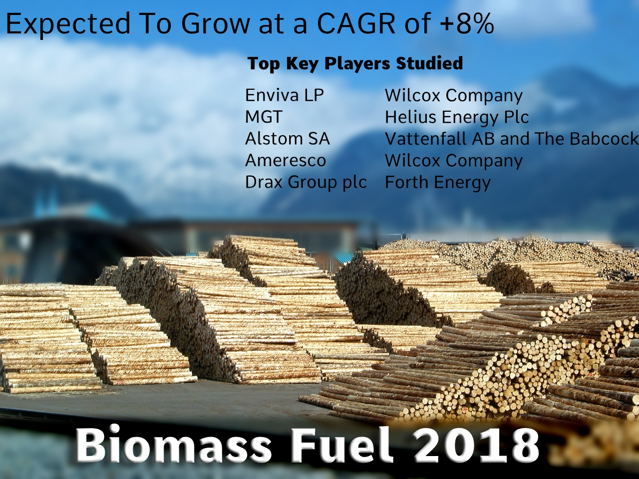 Biomass Fuel Market: Competition From Opponents, Opportuniti'