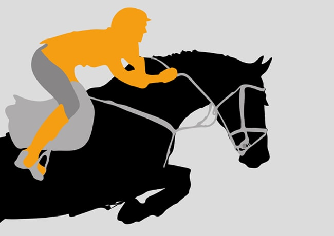 Riding Tourism market