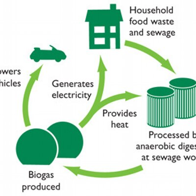 Biopower market