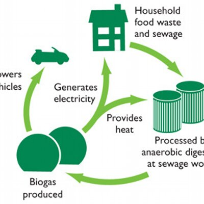 Biopower market'