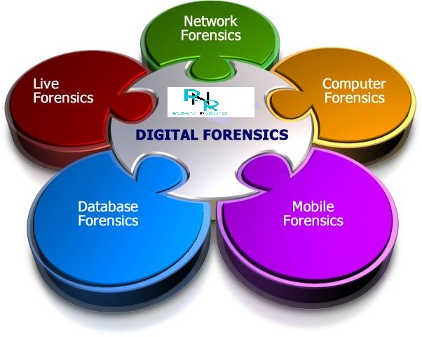 Digital Forensics Market'