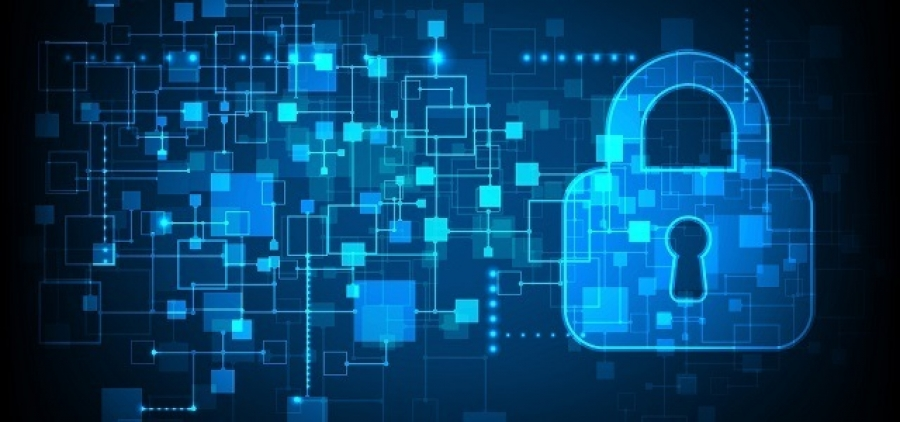 Information Security Software market'