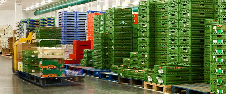 Food Logistics'