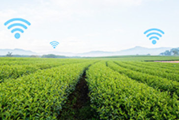 smart agriculture'