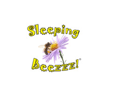 Sleeping Beezzz! Honey LLC Logo