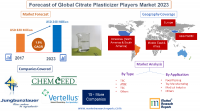 Forecast of Global Citrate Plasticizer Players Market 2023