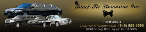 Company Logo For Black Tie Limousine, Inc.'