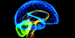 Pituitary cancer