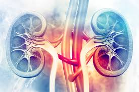 Kidney Function Test'