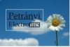 Petrányi electronics.'