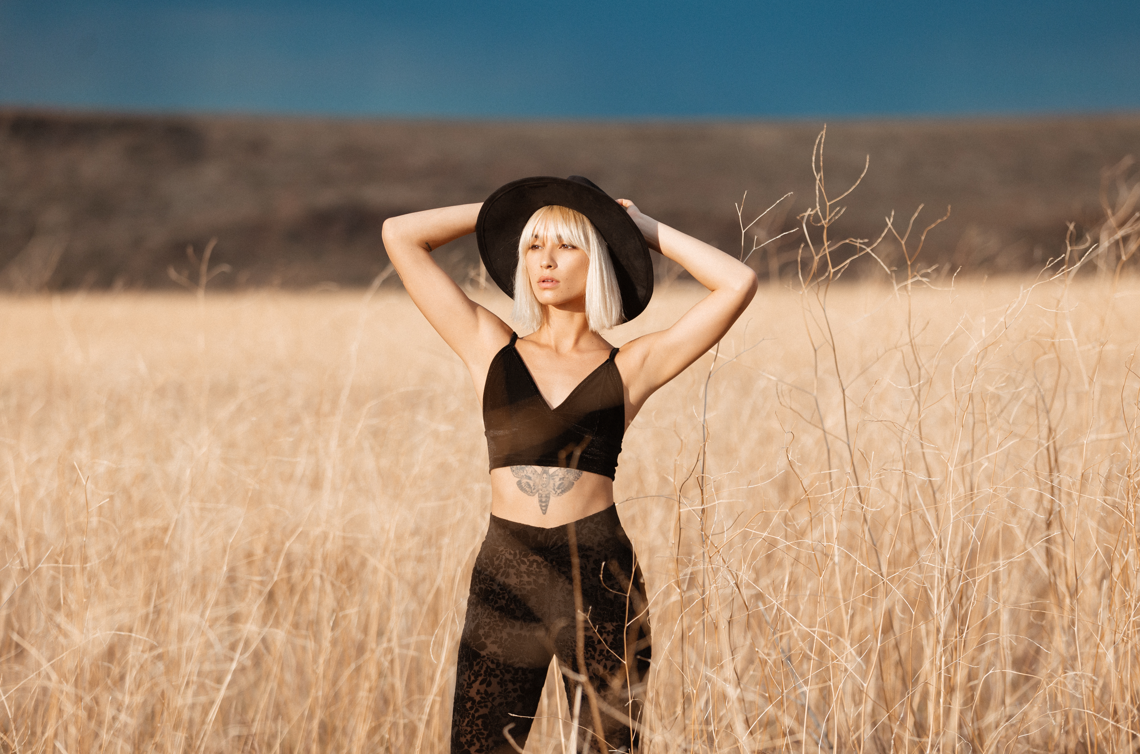 Fields of Gold