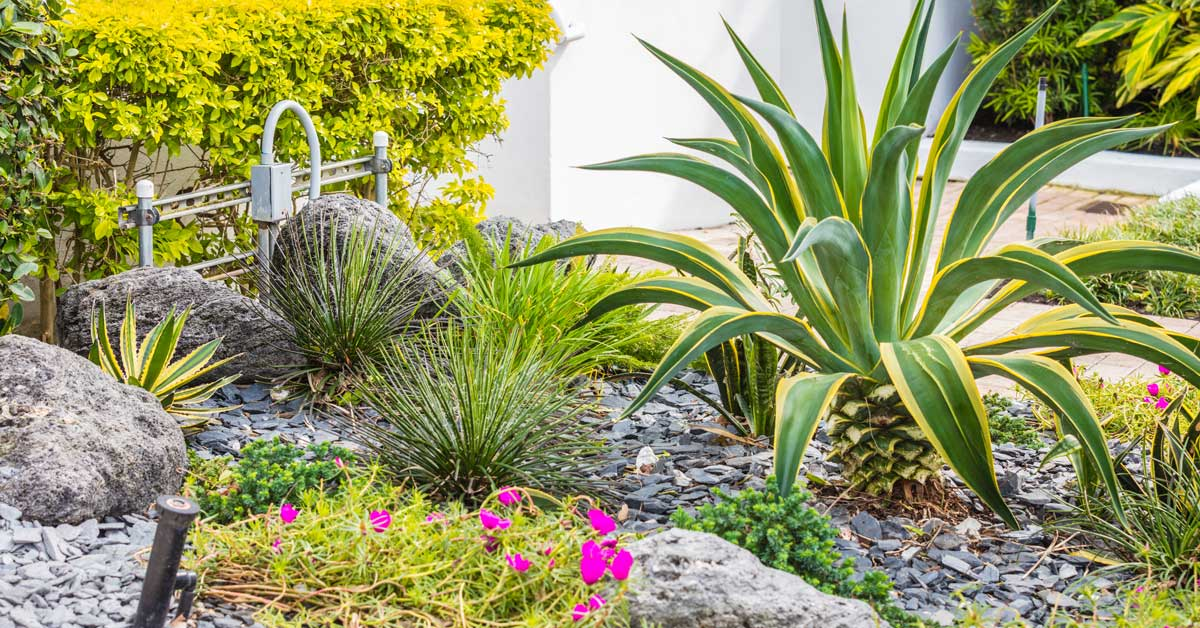 Pink and Green Lawn Care and Landscape