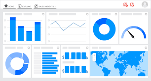 Business Intelligence (BI) Platform Services'