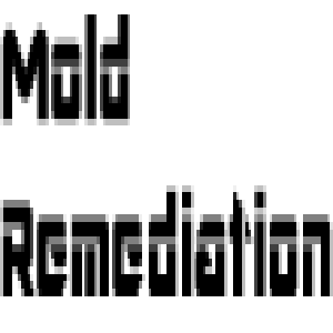 Company Logo For GRAND RAPIDS MOLD REMEDIATION PROS'