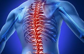 Minimally Invasive Spine Institute'