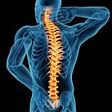 Minimally Invasive Spine Institute'