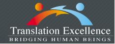 Translation Excellence Logo