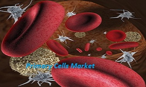 Primary Cells Market'