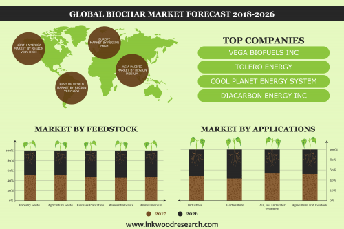 Global Biochar Market'
