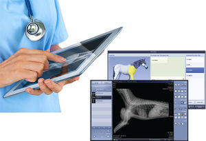 Veterinary Radiology Software'