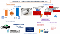 Forecast of Global Erythritol Players Market 2023