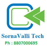 SornaValli Security Systems Logo