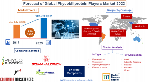 Forecast of Global Phycobiliprotein Players Market 2023'