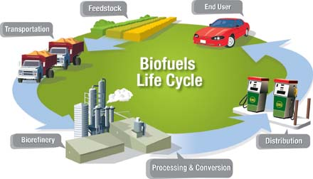 Biofuels Market'