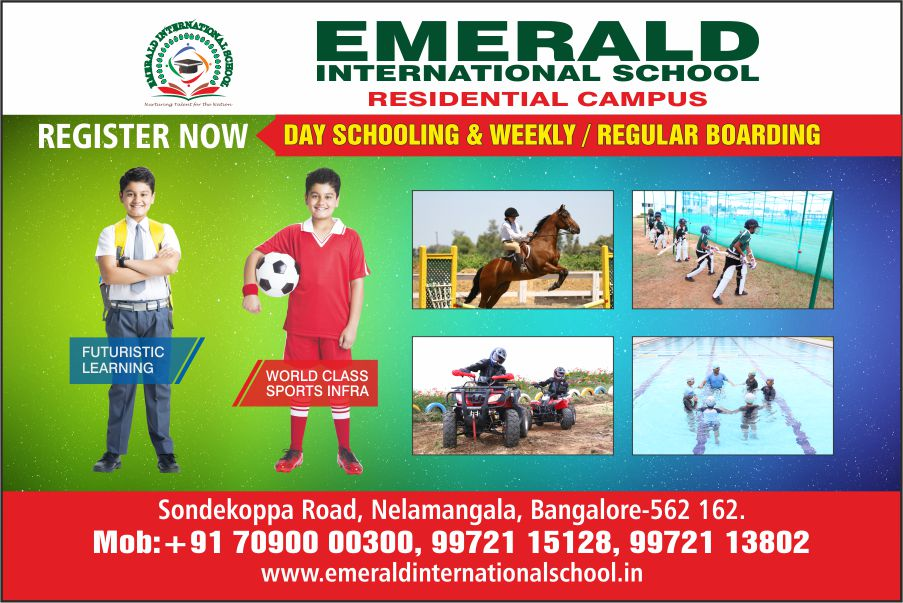 Company Logo For Emerald International School'