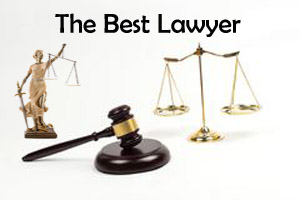 Delhi Legal Services'