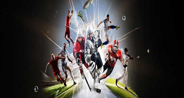 Sports League Software'