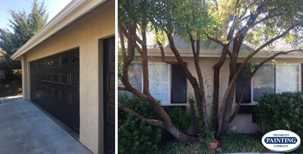 Painted Garage Door Trend'