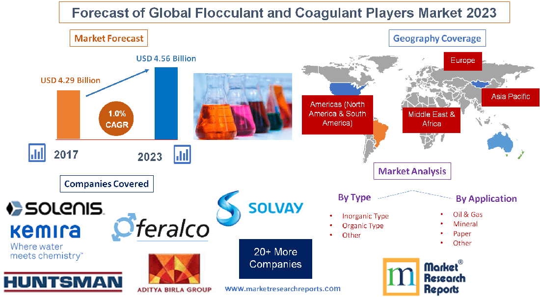 Forecast of Global Flocculant and Coagulant Players Market'