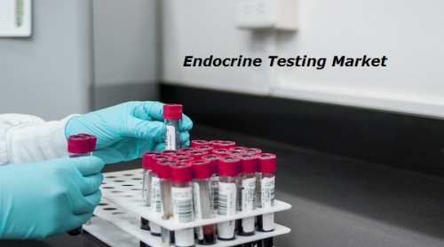 Endocrine Testing Market'