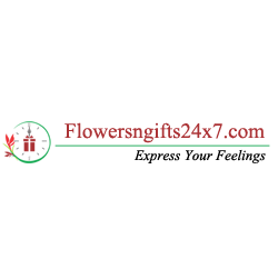 Flowersngifts24x7 Logo