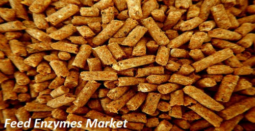 Feed Enzymes Market'
