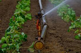 Global Smart Greenhouse Irrigation System Market'