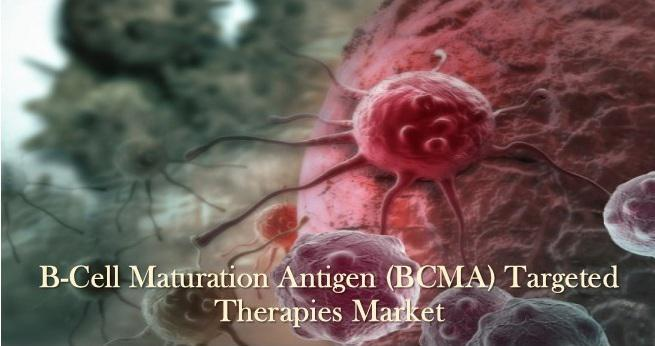 BCMA Targeted Therapies'