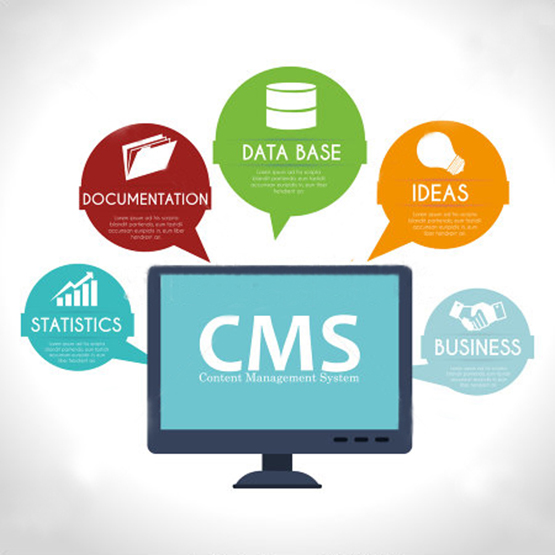 Content Management Software (CMS) Market'