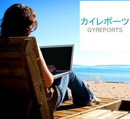 Digital nomads Market