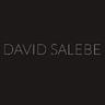 Company Logo For David Salebe Films'