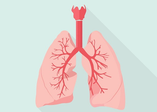 Bronchitis Market'