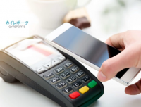 Mobile Payment Security Software Market